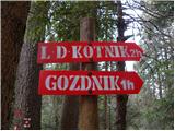 Liboje - Gozdnik